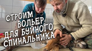 Спасение животных / Строим вольер для спинальника / Проводим бужирование спинальника