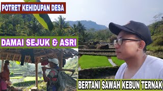 Potret Kehidupan Desa || Bertani, Sawah, Kebun, Ternak Pokoknya Asyik dan Damai