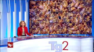 Rai 2 Tg2 - Cambiamenti Climatici E Moria Api. I Dati Cia