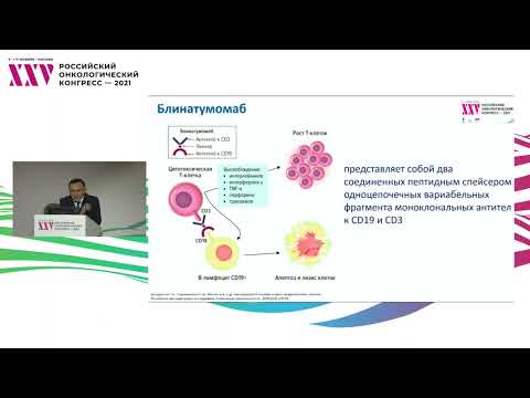 Новые препараты в онкогематологии: моноклональные антитела