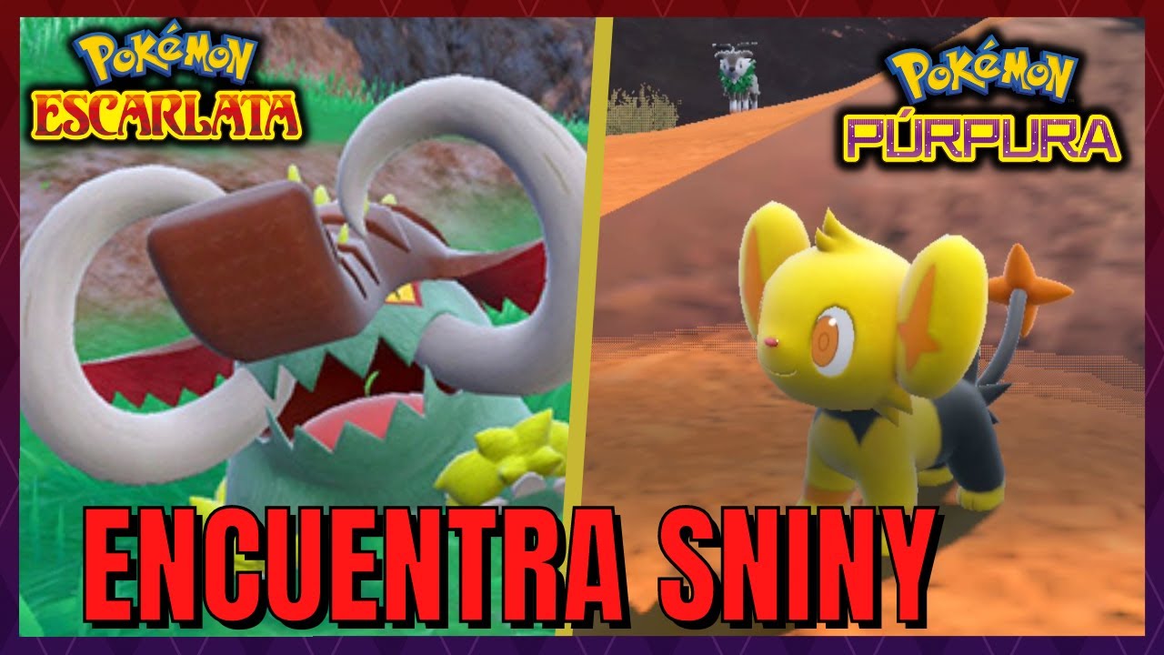 Pokémon Escarlata y Púrpura: ¡Ya puedes obtener este Pokémon Shiny en tu  juego!