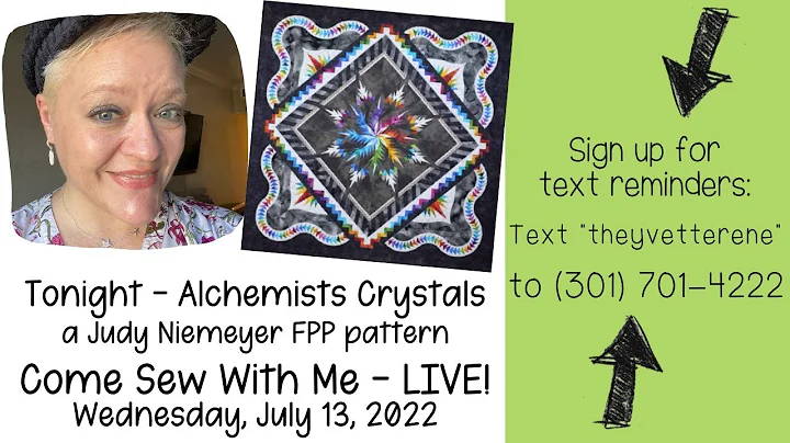 July 13 2022 | LIVE FPP Sewing for Judy Niemeyer P...