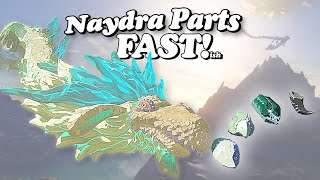 Best Way to Farm Naydra in Zelda Breath of the Wild | Horn, Scale, Fang, Claw