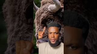 Download Lagu The Most Confusing Sentence In The World! #english #englishgrammar #englishlearning #didyouknow MP3