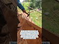 Traditional Hand Nailing for Wooden Boat Hull | Manual Boat Building