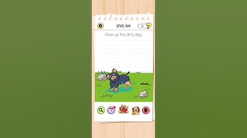 Brain Test All Star - Level 509