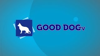 Good Dog TV!: December 5, 2018