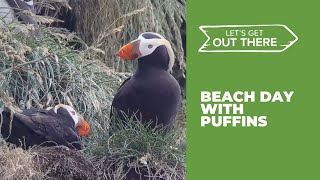 Peeking for puffins at Haystack Rock in Oregon