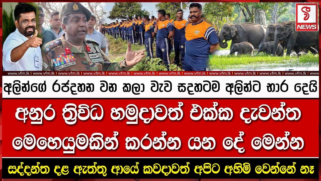 අලින්ගේ රජදහන වන කලා වැව සදහටම අලින්ට භාර දෙයි