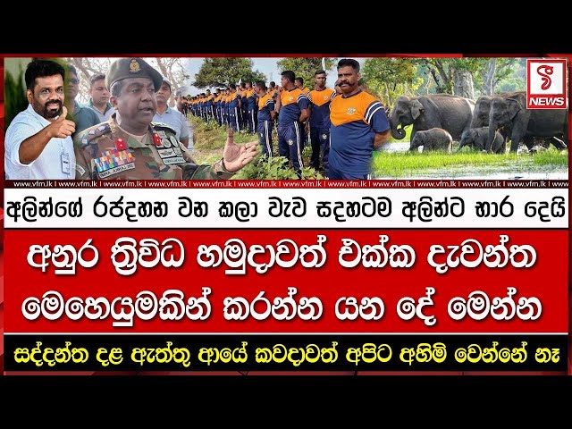 අලින්ගේ රජදහන වන කලා වැව සදහටම අලින්ට භාර දෙයි