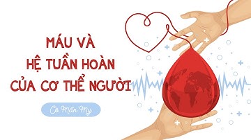 Máu và hệ tuần hoàn của cơ thể người (phần 1) - Khoa học tự nhiên 8 - OLM.VN