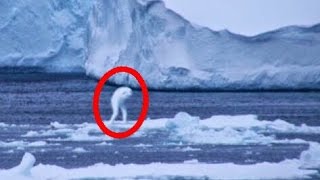 5 Unknown Creatures Caught On Tape 🔷 Undiscovered Animals And Monsters 5 Unknown Creatures Caught On Tape 🔷 Undiscovered Animals And Monsters