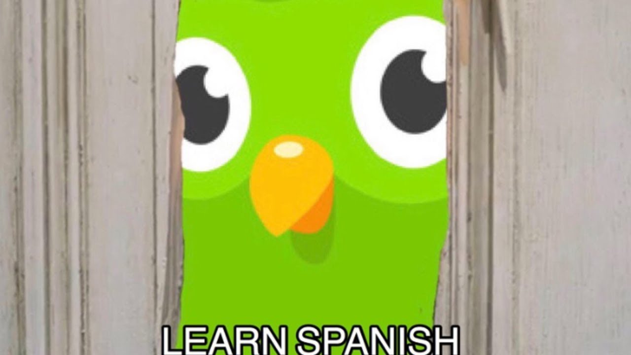 Duolingo, Duolingo memes, compilation, meme compilation, funny, Duolingo bi...