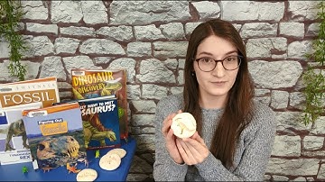 STEAM Create: Salt Dough Dinosaur Fossils