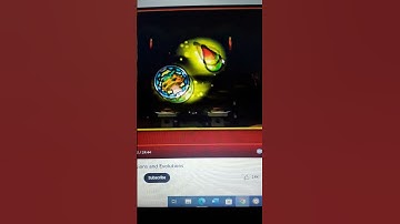 Yo-Kai Watch Bloominoko Transformation #mlb