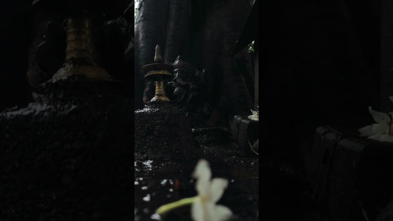 Ganapathy : The  Wild Temple Kerala Forest Achankovil 