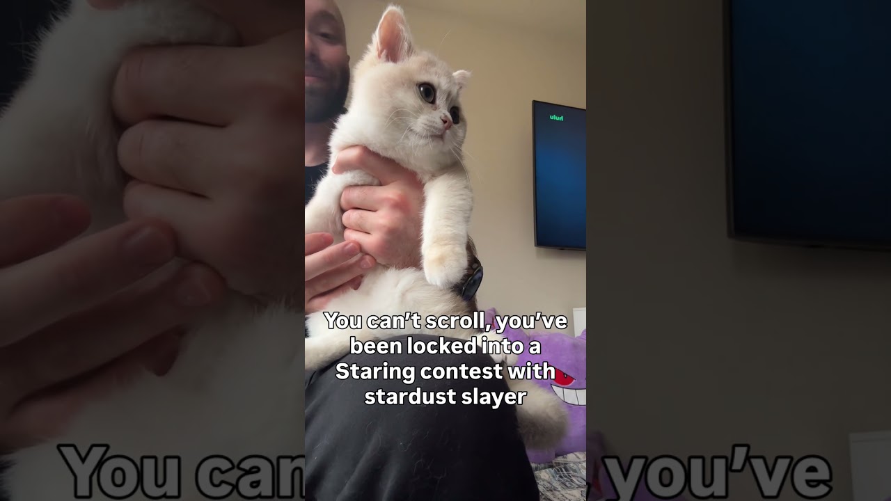 He will get distracted, but he will never blink