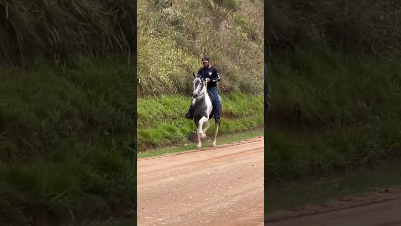 Esse tem a senha 🐴🧲