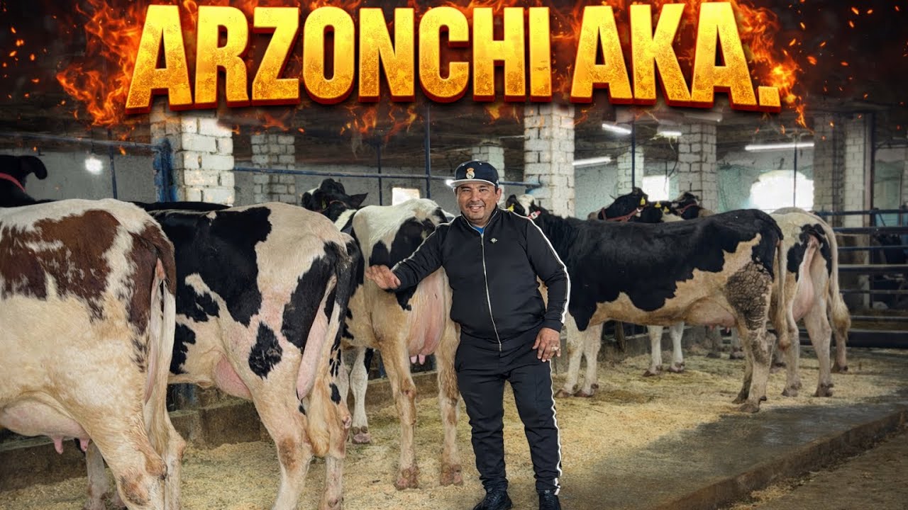 ARZONCHI AKA FERMASIDA YANGI KOTTA PARTIYA SIGIRLA KELDI SHOW BOSHLANDI