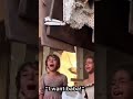 Acının böylsi