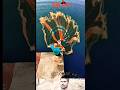 TROLL VIDEO STYLISH FISH NET ☠️#trending #stylish #net #edit