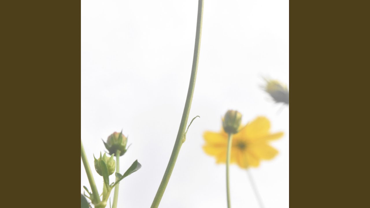 Assista a Interval no YouTube Assista a Interval no YouTube