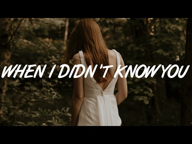 WizG - When I Didn't Know You (Lyrics) ft. Jantine class=