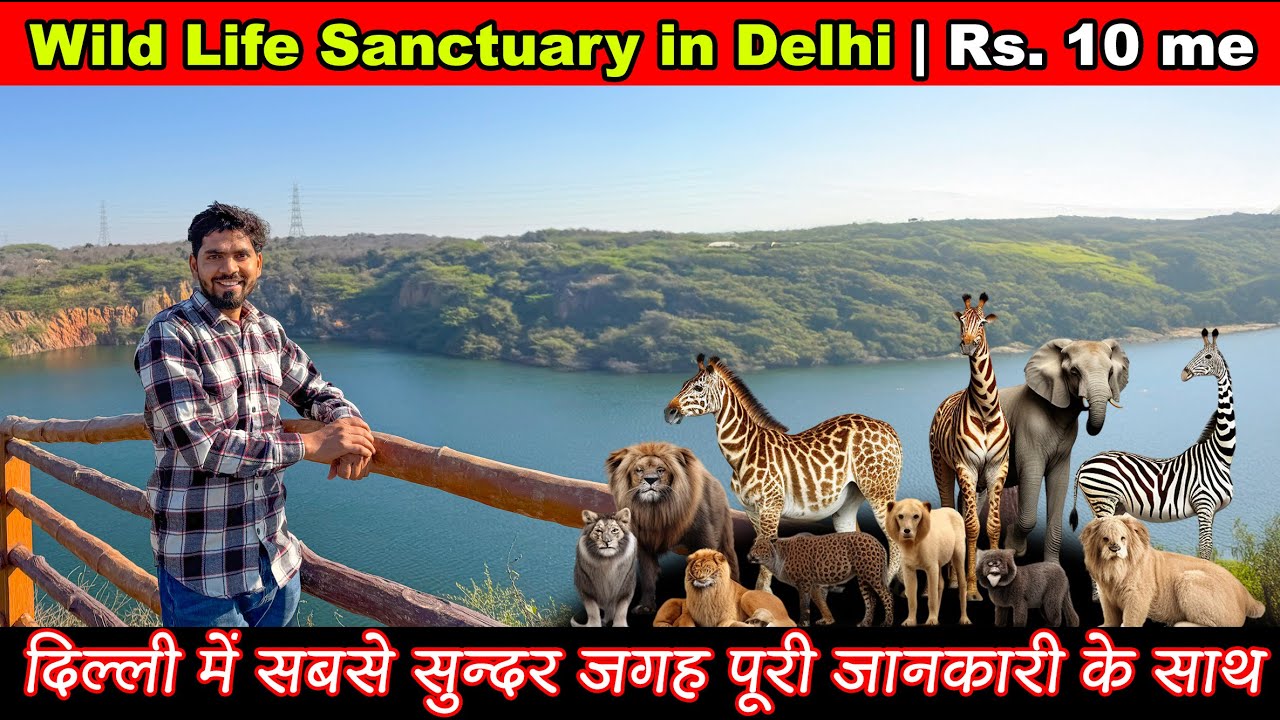 Asola Bhatti Wildlife Santuary 2025 | Neeli Jheel Faridabad | Wildlife Sanctuary in Delhi