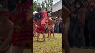 Gong festival 2024 #culturaldance
