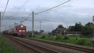 【信越本線】 4059ﾚ EF510 7+コキ 2013.8.3