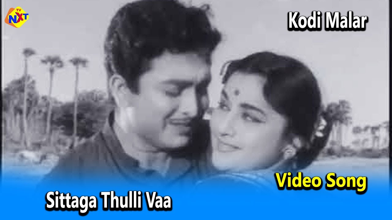 Sittaga Thulli Vaa Video Song Kodimalar Movie SongsMuthuraman  RVijayakumari  TVNXT Tamil Music