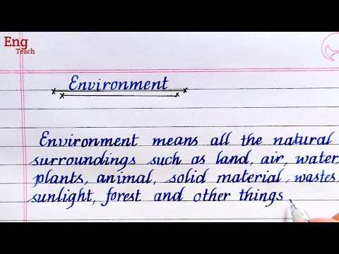 i love environment essay