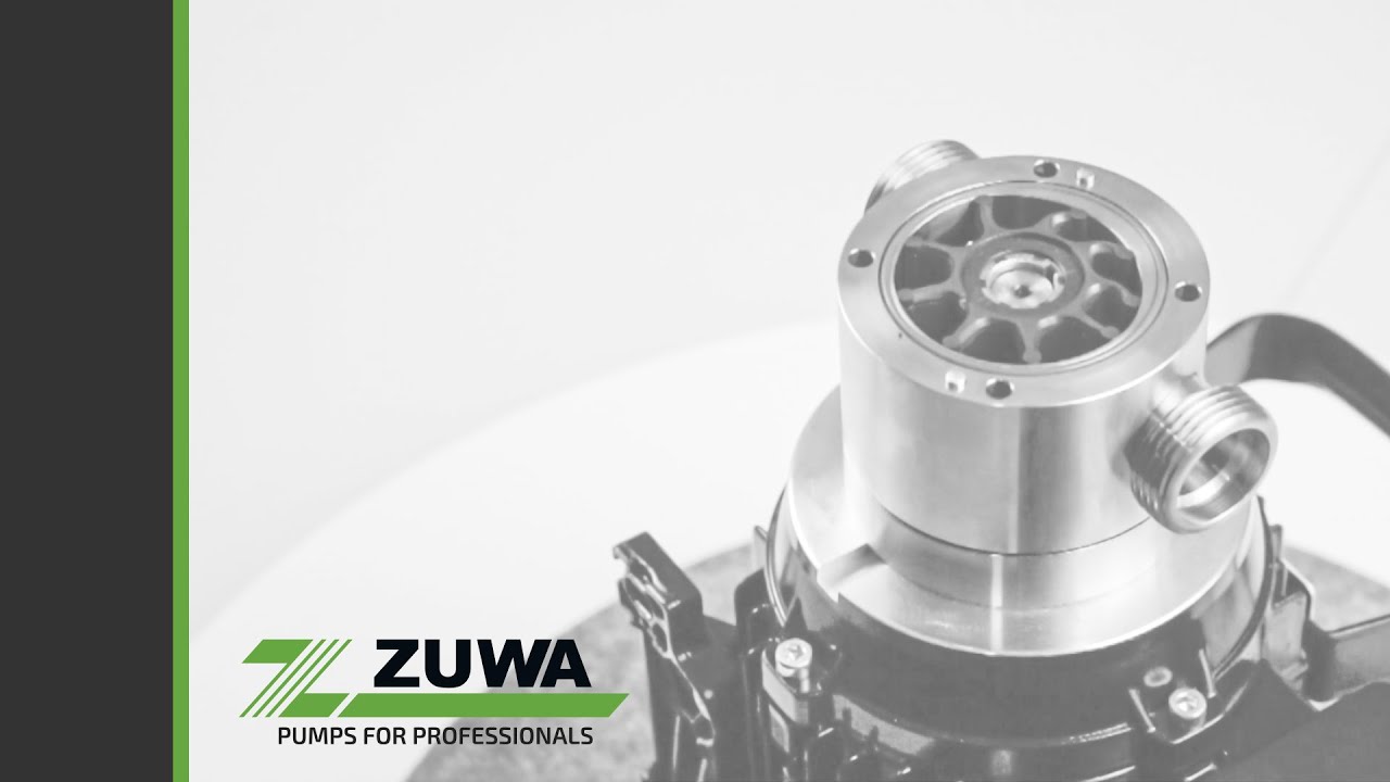 Gleitringdichtungswechsel Impellerpumpe Nirostar