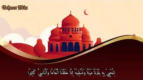 سورة الفرقان - أرأيت من اتخذ الهه هواه - للقارئ ( ادريس ابكر🥀)