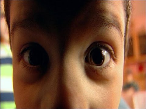 რეალური სივრცე - სკოლამდელი განათლების ახალი რეფორმა