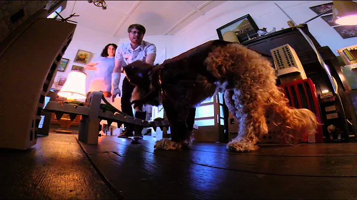 Please Like Me - Clarezilla destroys Cardboard Metropolis