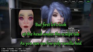 Skyrim SE Low Poly to High Poly Head Conversion Made Easy screenshot 4