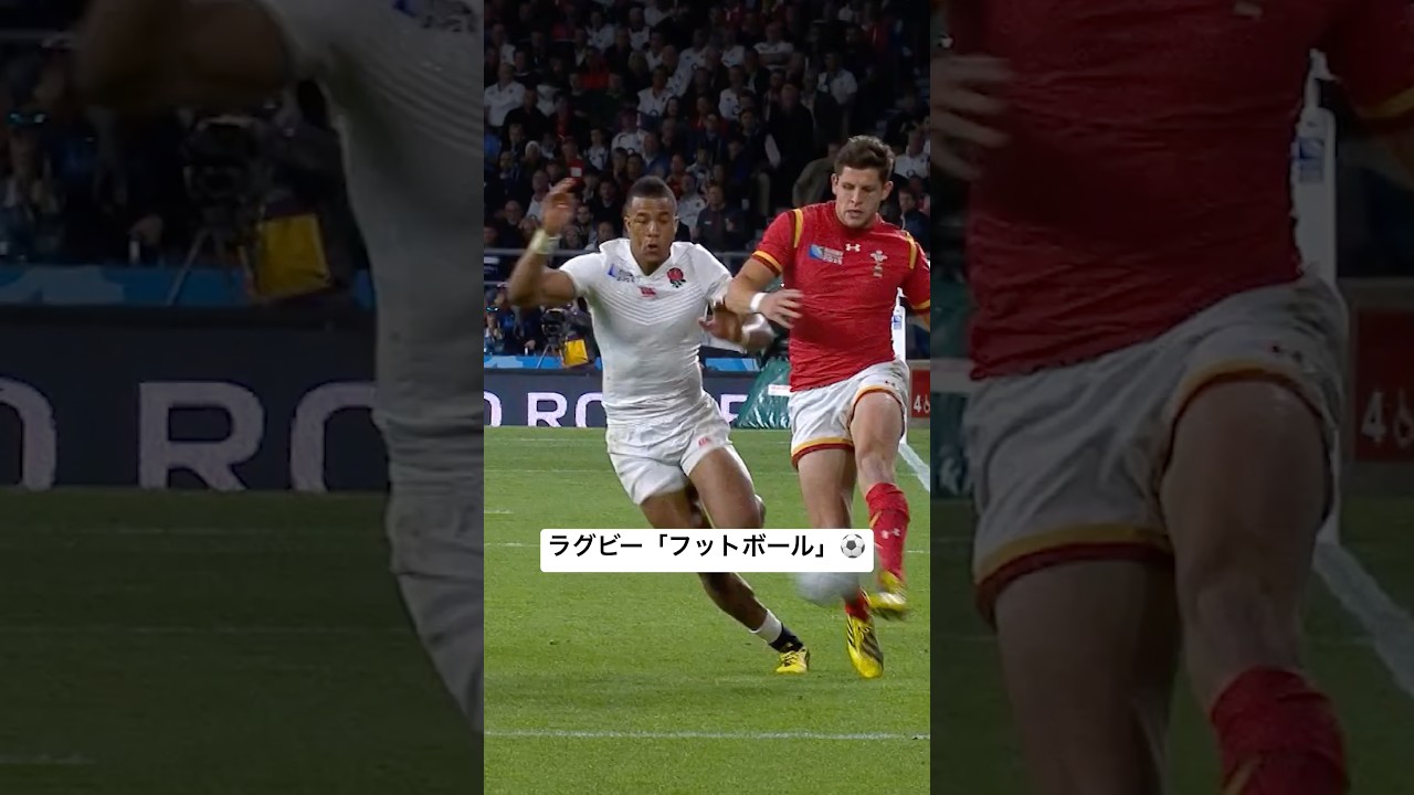 【ラグビー】ラグビーのフットボールの側面⚽️ #RWC2015