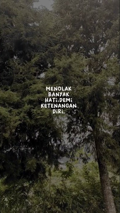 story wa ingin sendiri || story wa terbaru || status wa