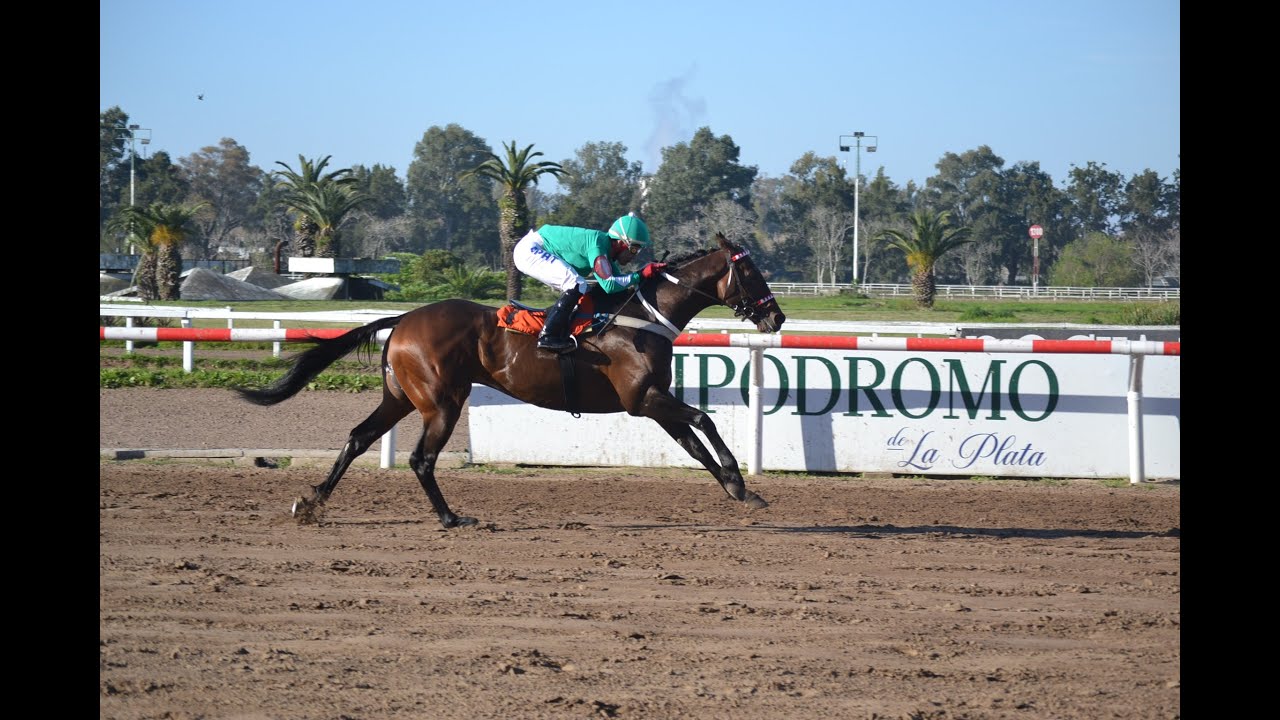 Clásico Hipódromo de La Plata 2025 - Storm Sound (Hi Happy)