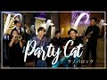 サノバロック『Party Cat』Official Music Video