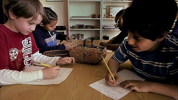 Is there too much testing in the public schools?