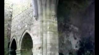 Jerpoint Abbey 16-2-2007 B