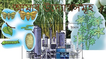 আমাৰ উদ্যোগসমূহ | Class 5, EVS: Environmental Sciences.| SCERT | Assam