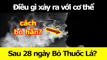 Điều gì xảy ra với cơ thể sau 28 ngày Bỏ Thuốc Lá? Làm sao để Không Tái Nghiện thuốc lá?