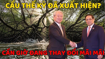 Tuyến vượt biển Cần Giờ Vũng Tàu, cầu vượt biển Cần Giờ, hầm vượt biển Việt Nam, dự án 104