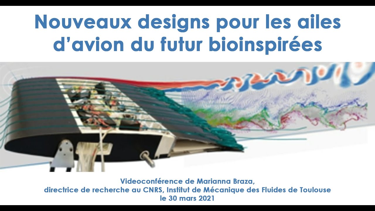 Nouveaux designs pour les ailes d’avion du futur bioinspirées
