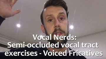 Semi-occluded Vocal Tract Exercises: Voiced Fricatives