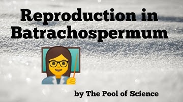 Reproduction in Batrachospermum by The Pool of Science