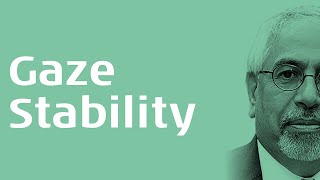VNG: Gaze Stability Without Fixation
